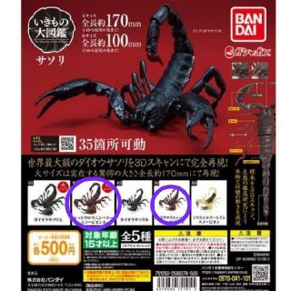 バンダイ(BANDAI)のサソリ ガチャ(その他)