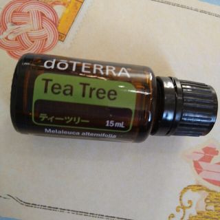 ドテラ(doTERRA)のドテラ　エッセンシャルオイル　ティーツリー　15mL(エッセンシャルオイル（精油）)