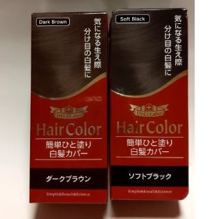 ドクターシーラボ(Dr.Ci Labo)のドクターシーラボ　白髪カバー　2色セット(白髪染め)