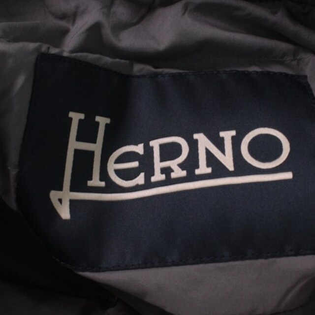 HERNO(ヘルノ)のHERNO ダウンジャケット/ダウンベスト メンズ メンズのジャケット/アウター(ダウンジャケット)の商品写真