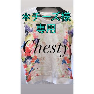 チェスティ(Chesty)のChestyトップス(カットソー(長袖/七分))