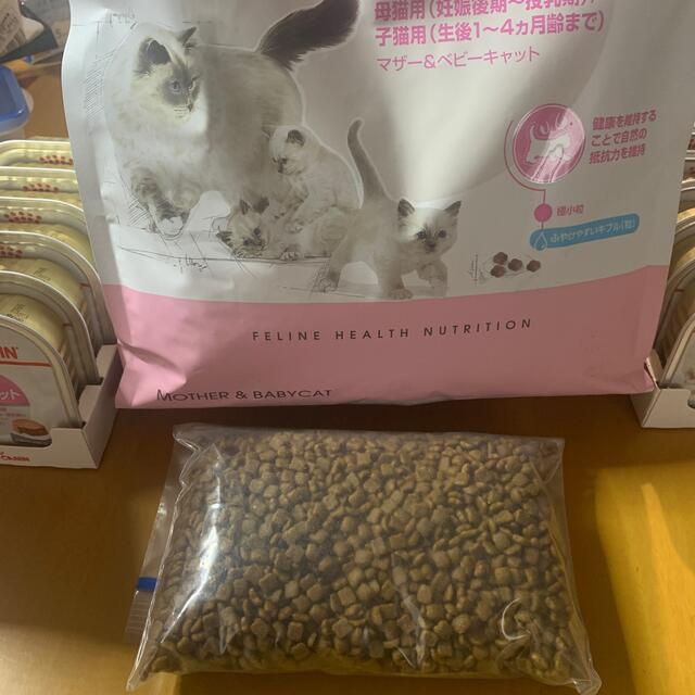 ROYAL CANIN(ロイヤルカナン)のおまけあり ロイヤルカナン マザー&ベビーキャット 13個 その他のペット用品(ペットフード)の商品写真