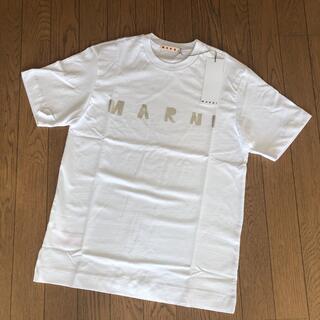 Marni - 新品タグ付 MARNI マルニ シルバーロゴ Tシャツ キッズ 12Y S 