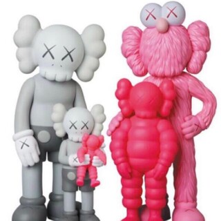 KAWS FAMILY GREY/PINK/FLUORO PINK(その他)