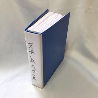 英検1級(1次エッセイ) スクリプト集(和英添削済) 1タイトル分(語学/参考書)