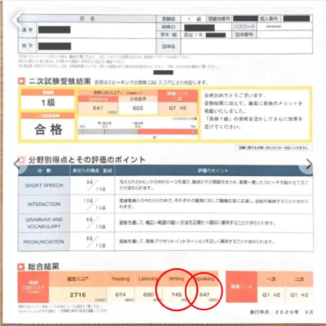 英検1級(1次エッセイ) スクリプト集(和英添削済) 1タイトル分 エンタメ/ホビーの本(資格/検定)の商品写真