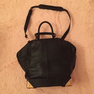 アレキサンダーワン(Alexander Wang)のalexander wangのバッグ(ショルダーバッグ)