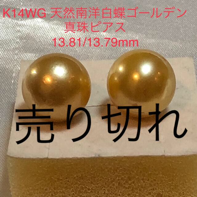 K14WG 天然南洋白蝶ゴールデン真珠ピアス 1070/10.58mm - ピアス