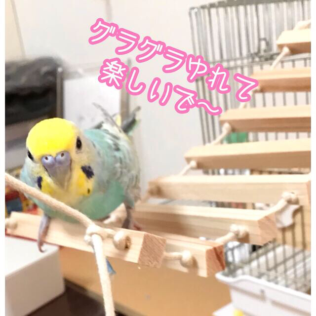 ひのきのゆらゆらつりばし★インコ★文鳥★おもちゃ★バードトイ★止まり木★ブランコ ハンドメイドのペット(おもちゃ/ペット小物)の商品写真