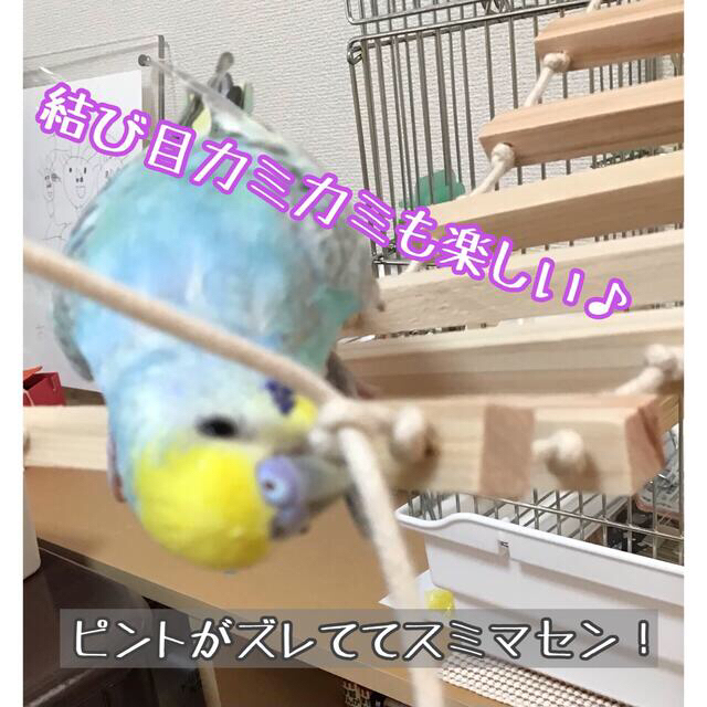 ひのきのゆらゆらつりばし★インコ★文鳥★おもちゃ★バードトイ★止まり木★ブランコ ハンドメイドのペット(おもちゃ/ペット小物)の商品写真