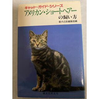 アメリカン・ショ－トヘア－の飼い方(住まい/暮らし/子育て)