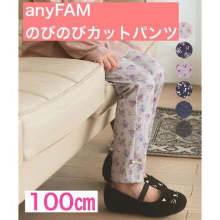 エニィファム(anyFAM)のanyFAM のびのびカットパンツ　ラベンダードット花柄(パンツ/スパッツ)