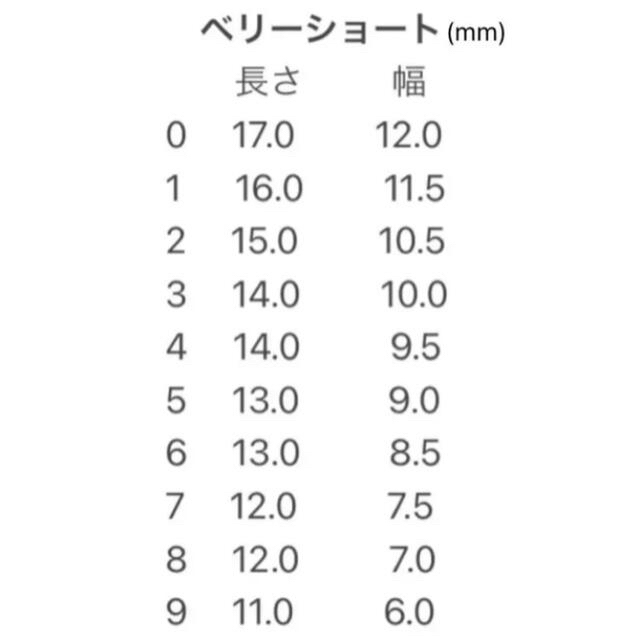 ネイルチップ フルオーダー フレンチガーリー 韓国ネイル 持ち込みデザインOK