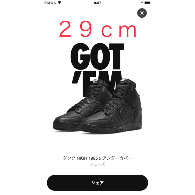スニーカー29cm UNDERCOVER × Nike Dunk ハイ カオス ブラック