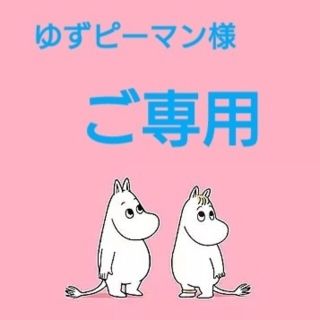 フェイクグリーン(ムーミン)(その他)