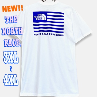 ノースフェイス(THE NORTH FACE) 星条旗 Tシャツ・カットソー(メンズ 
