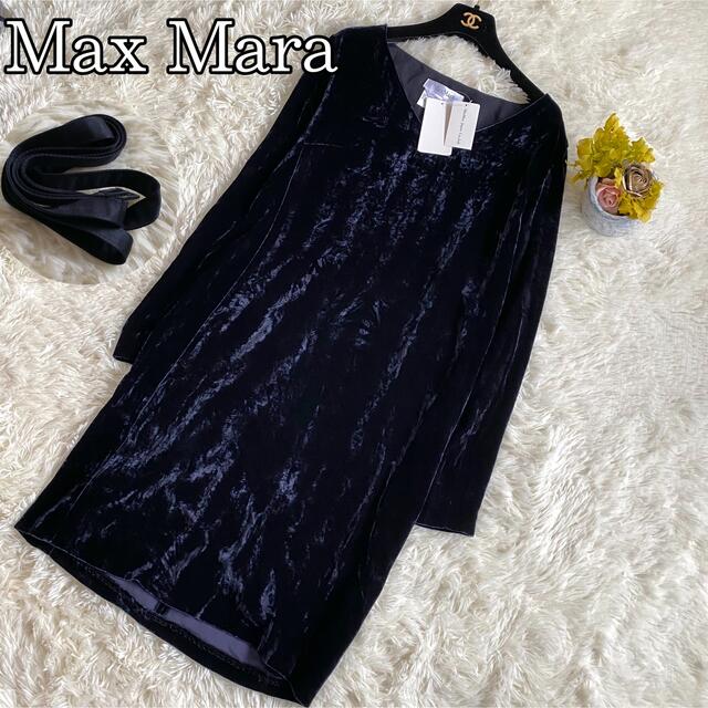 Max Mara 新品タグ付き マックスマーラ ロングワンピース ベロア シルク 白タグ ベルトの通販 By Ganar S 8080 マックスマーラならラクマ