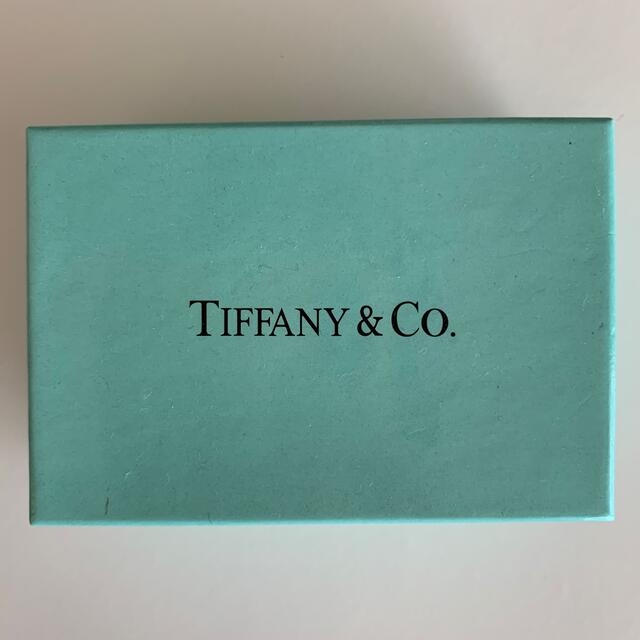 Tiffany & Co.(ティファニー)のTIFFANYティファニー  エターナルサークル　ネックレス　シルバー レディースのアクセサリー(ネックレス)の商品写真