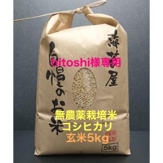 よく売れる P・M・A様専用 農薬無し純こしひかり30㎏ 玄米 www