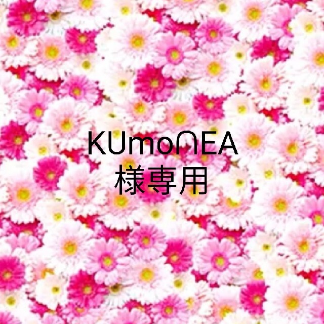 通販オンラインショップ KUmoᑎEA様専用♡ | artfive.co.jp