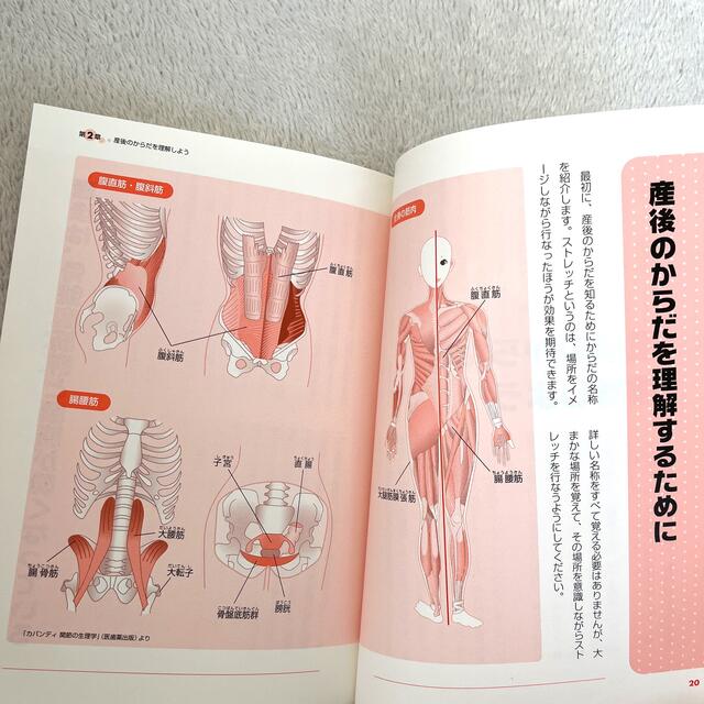 PHP 産後骨盤ダイエット　本 エンタメ/ホビーの本(健康/医学)の商品写真