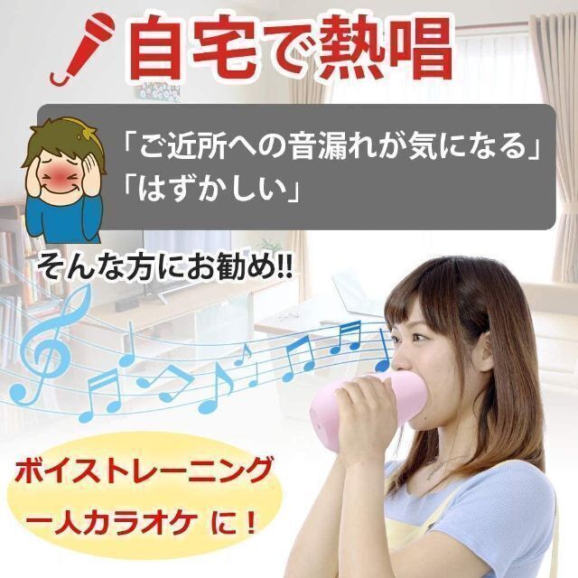 自宅でカラオケ ボイストレーニング ストレス発散 声量50％カット 防音遮音構造 楽器の楽器 その他(その他)の商品写真