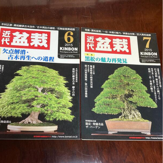 近代盆栽 2015年 06月号　7月号 エンタメ/ホビーの雑誌(その他)の商品写真