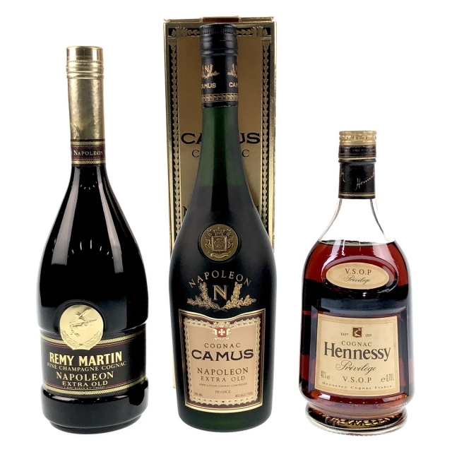 3本 REMY MARTIN CAMUS Hennessy コニャック