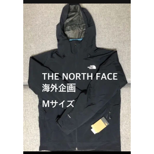 新品 希少 ノースフェイス the North Face アメリカ限定モデル ...