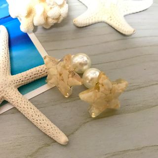 クリアbeachスターのパールキャッチピアス(ピアス)