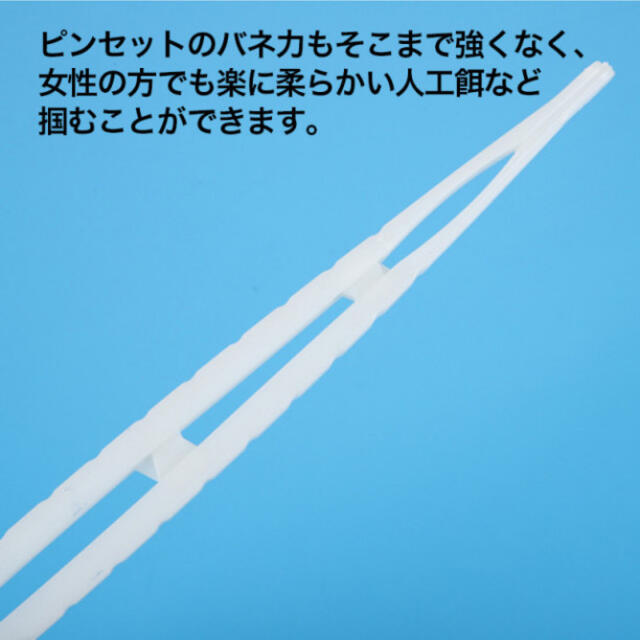 超特価SALE開催! 爬虫類 餌やり ピンセット 2本 白 両生類 レオパ 衛生 飼育 軽量 18cm 爬虫類 超特価SALE開催! 爬虫類 餌やり ピンセット 2本 白 両生類 レオパ 衛生 飼育 軽量 18cm 爬虫類