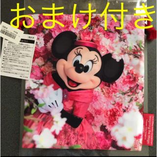 ディズニー(Disney)のTDL イマジニングザマジック巾着　ミニー きんちゃく(キャラクターグッズ)