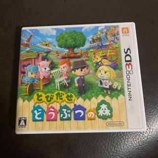 ニンテンドー3DS(ニンテンドー3DS)のとびだせ どうぶつの森 3DS(その他)