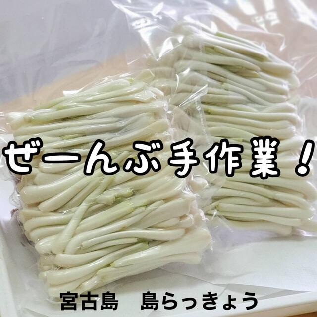 全て手作業　島らっきょう　300グラム 食品/飲料/酒の食品(野菜)の商品写真