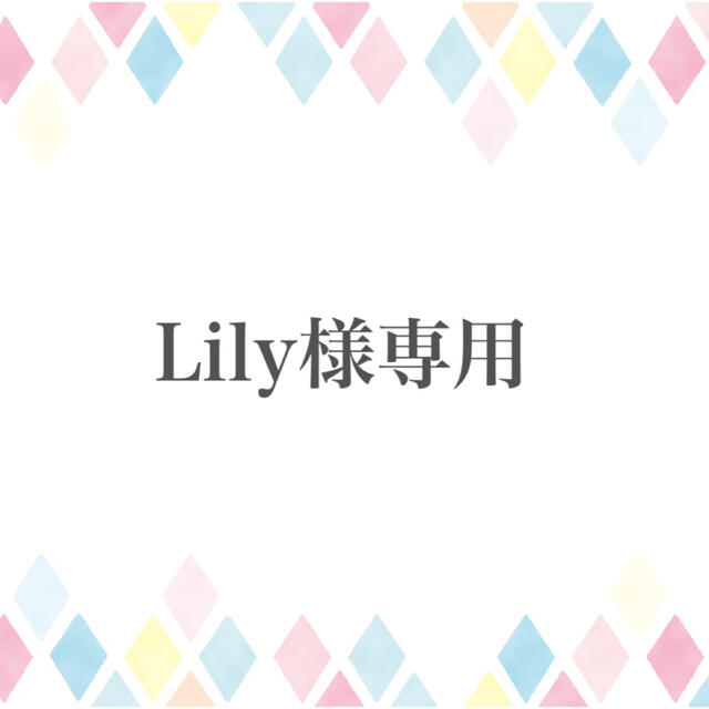 Lily様専用ページ】の通販 by ぽにょ ｜ラクマ