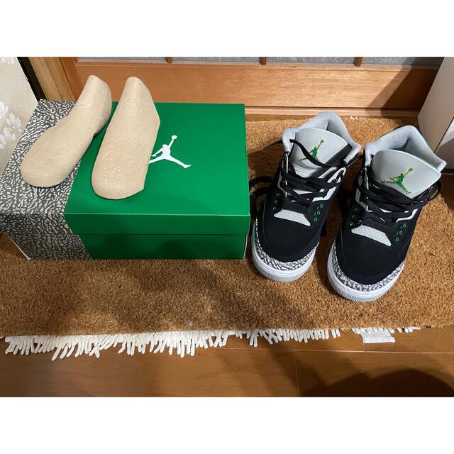 NIKE(ナイキ)のNike Air Jordan 3 "Pine Green" メンズの靴/シューズ(スニーカー)の商品写真
