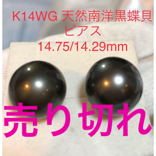 K14WG 天然南洋黒蝶真珠ピアス　14.75/14.29mm