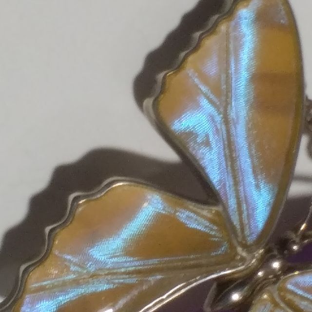 レディースモルフォ蝶のネックレス　　ラクマ
