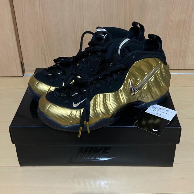 275cm付属品NIKE AIR FOAMPOSITE PRO