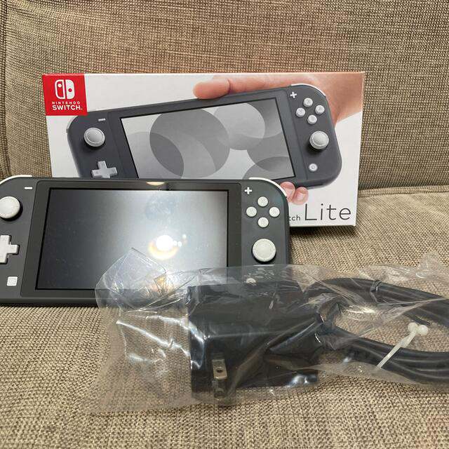 Nintendo Switch Liteグレー/ケース付