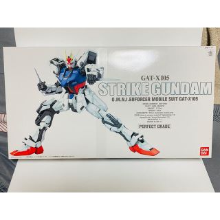 バンダイ(BANDAI)のバンダイ　PGストライクガンダム(模型/プラモデル)