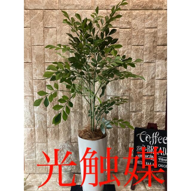 光触媒　人工観葉植物　ウォールグリーン　フェイク　フラワー　トネリコ花器付