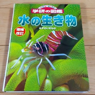 ガッケン(学研)の☆学研の図鑑「水の生き物」(絵本/児童書)