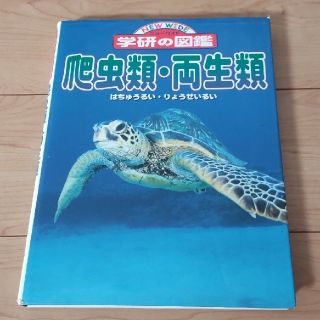 ガッケン(学研)の☆学研の図鑑『爬虫類・両生類』(絵本/児童書)