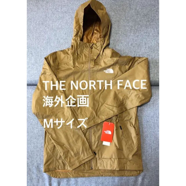 新品 希少 ノースフェイス the North Face アメリカ限定モデル