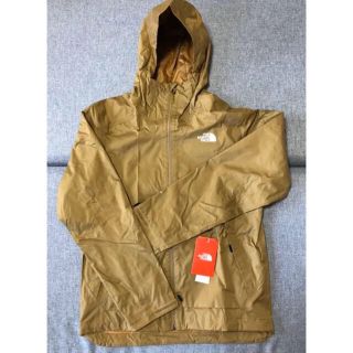 新品 希少 ノースフェイス the North Face アメリカ限定モデル