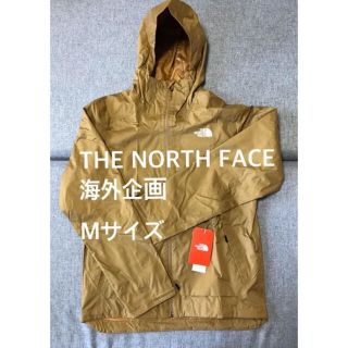 ザノースフェイス(THE NORTH FACE)の新品 希少 ノースフェイス the North Face アメリカ限定モデル(マウンテンパーカー)