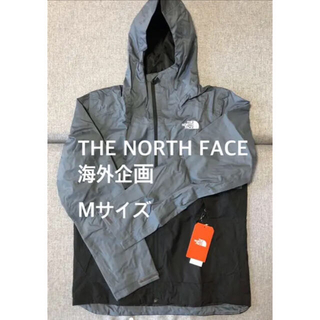 ザノースフェイス(THE NORTH FACE)の新品 希少 ノースフェイス the North Face アメリカ限定モデル(マウンテンパーカー)