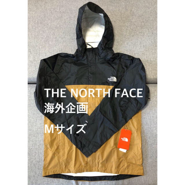 新品 希少 ノースフェイス the North Face アメリカ限定モデル