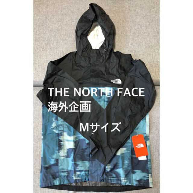 新品 希少 ノースフェイス the North Face アメリカ限定モデル